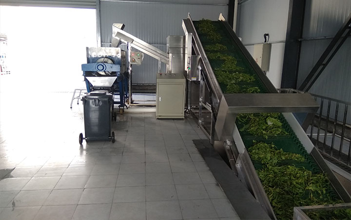 有機垃圾處理系統(tǒng)