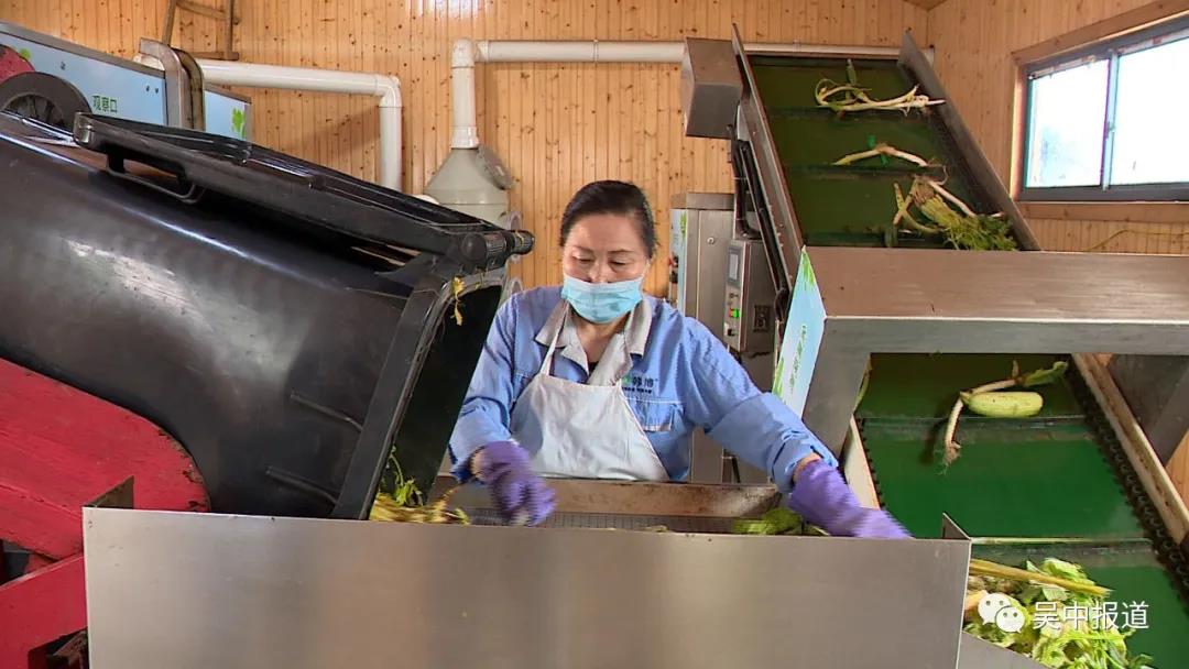 餐廚垃圾資源化處理 餐廚垃圾資源化處理