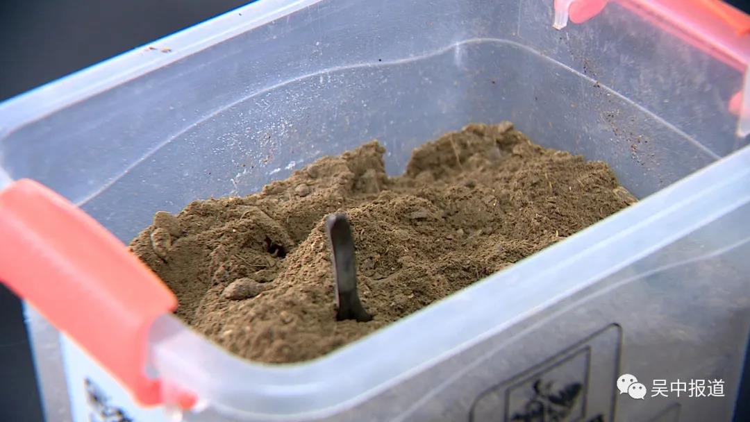 微生物接種劑 微生物接種劑