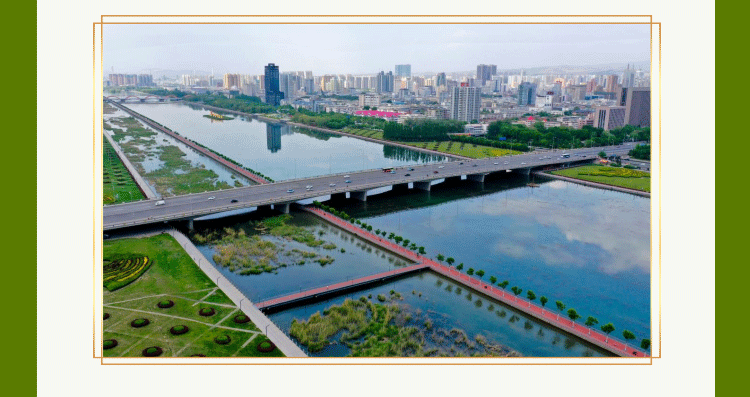 1623120266385728.gif 29.gif